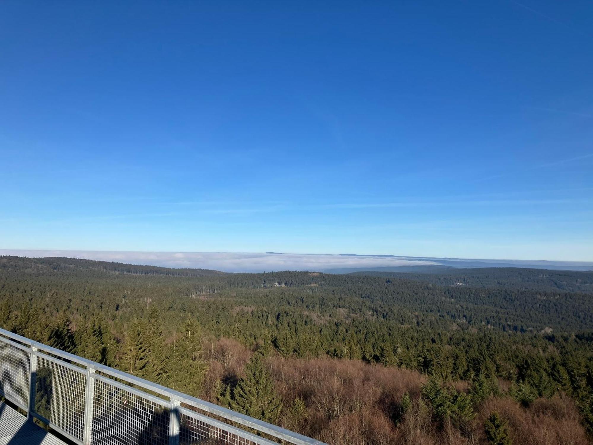 Chalupa Ostruvek Tachov  Esterno foto