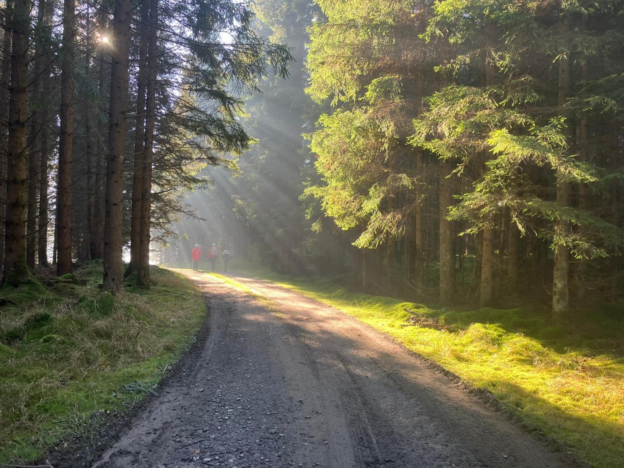Chalupa Ostruvek Tachov  Esterno foto