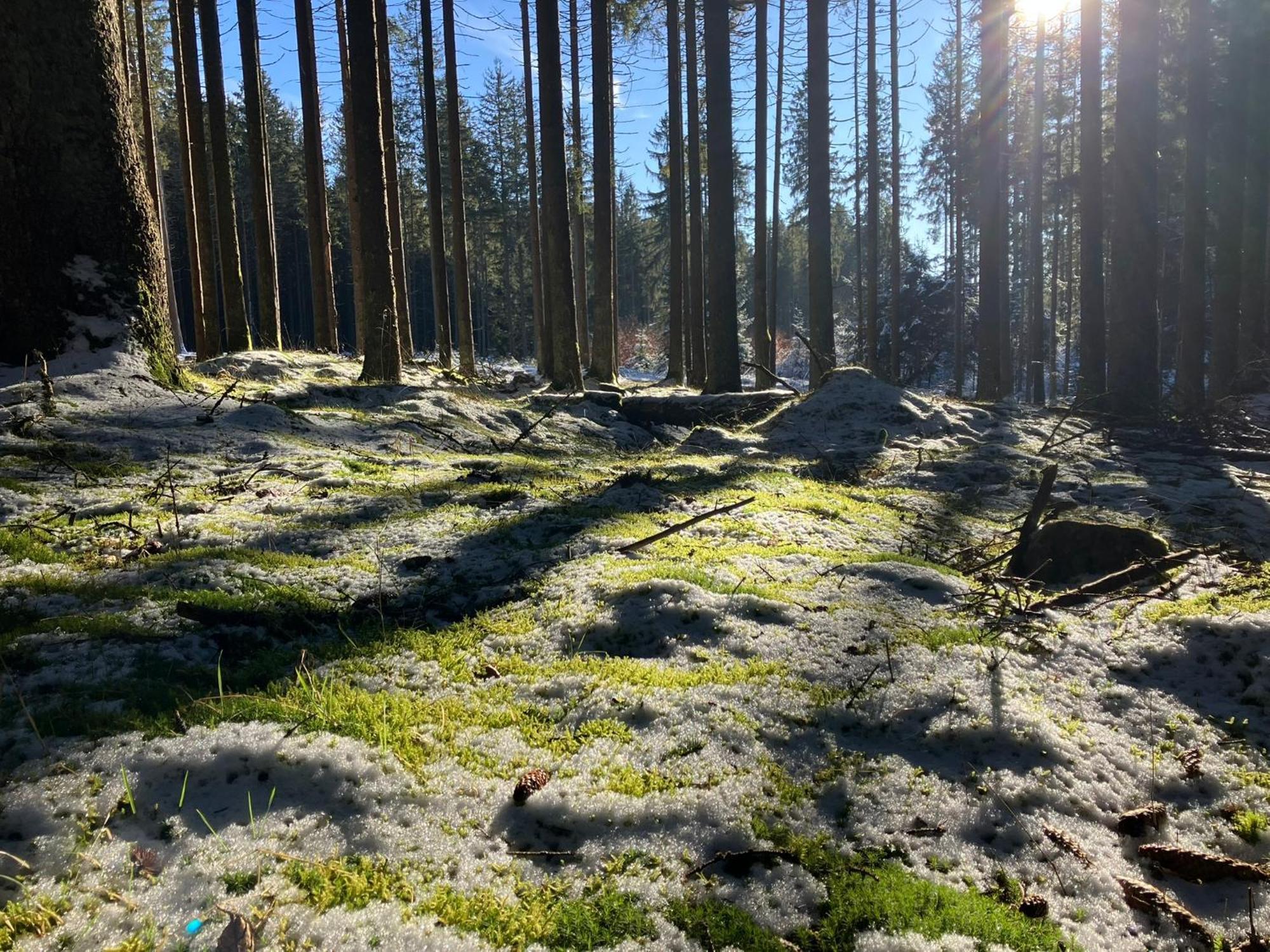 Chalupa Ostruvek Tachov  Esterno foto